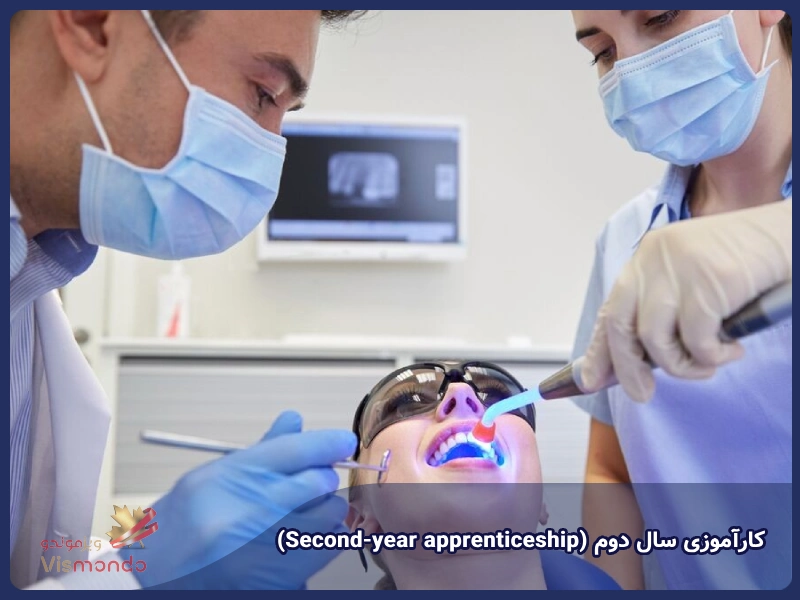 کارآموزی سال دوم (Second-year apprenticeship)