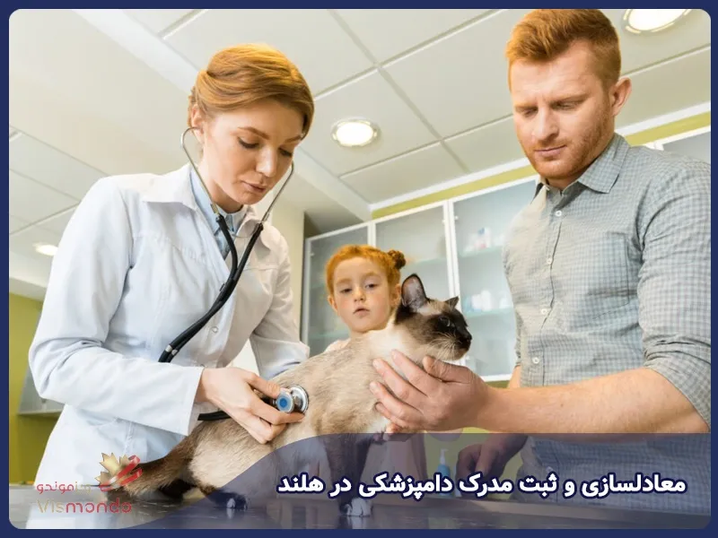 معادلسازی و ثبت مدرک دامپزشکی در هلند