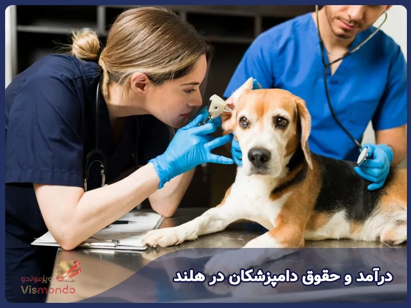 درآمد و حقوق دامپزشکان در هلند