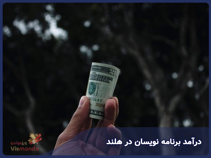 درآمد برنامه نویسان در هلند